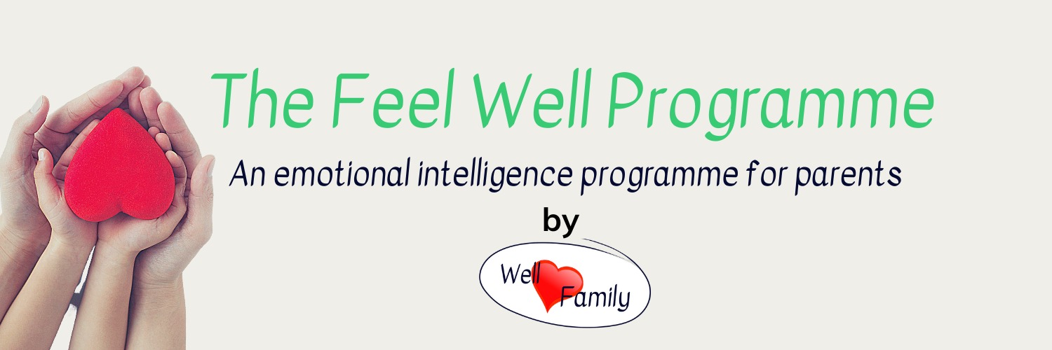 The Feel Well Programme