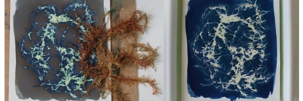 Cyanotype Workshop