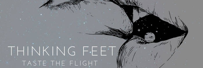 Thinking Feet on Quicket