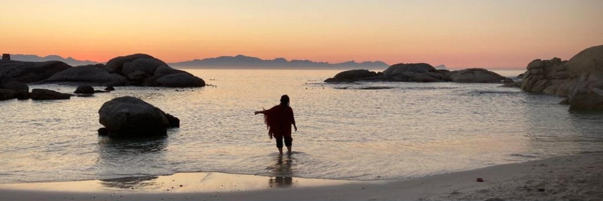 || Creatures of the Light ||