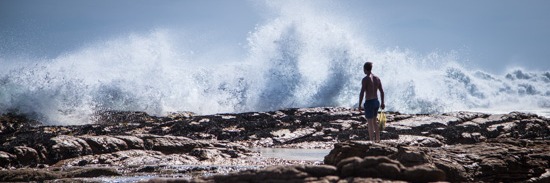 Coastal Foraging Experience 19th March