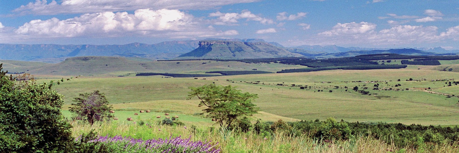 Valentines getaways in the Drakensberg less 30% for the month of Feb 