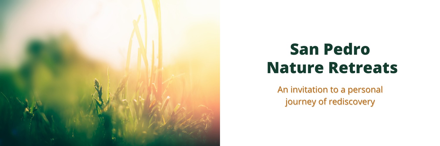 San Pedro Ceremony - Hennopsrivier