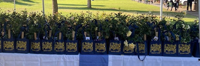 St David's Marist Inanda PTA Marist Gold Rose Orders - March 2022