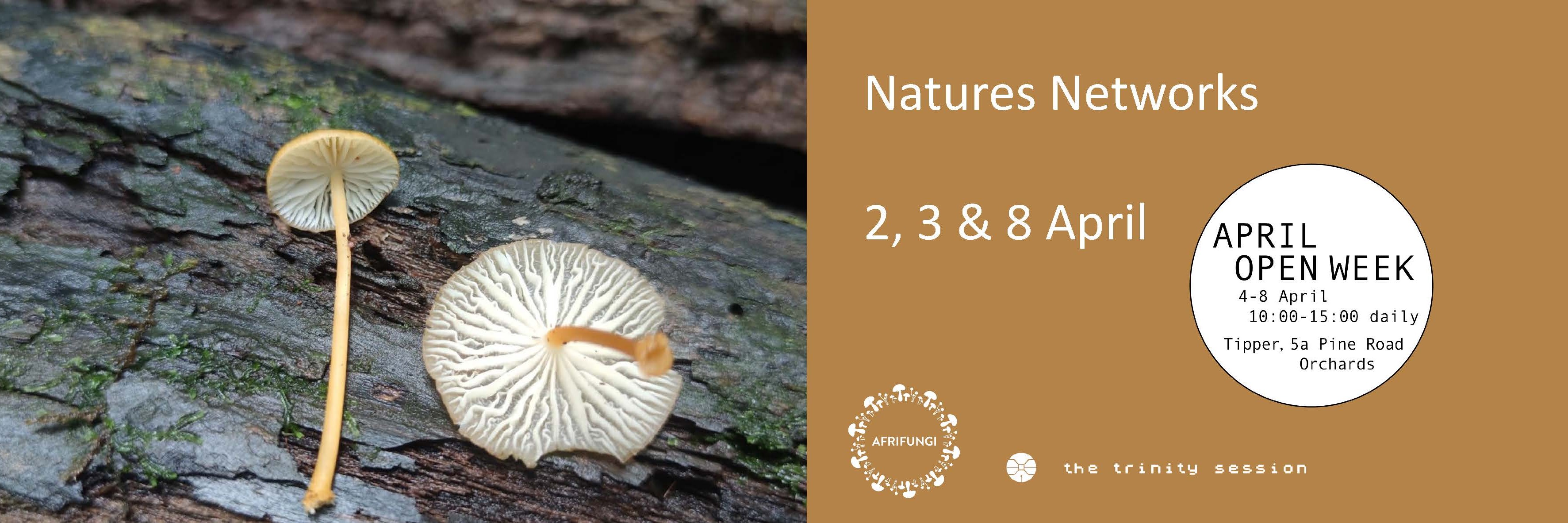 Natures Networks, 3 April, 14:30 – 16:30