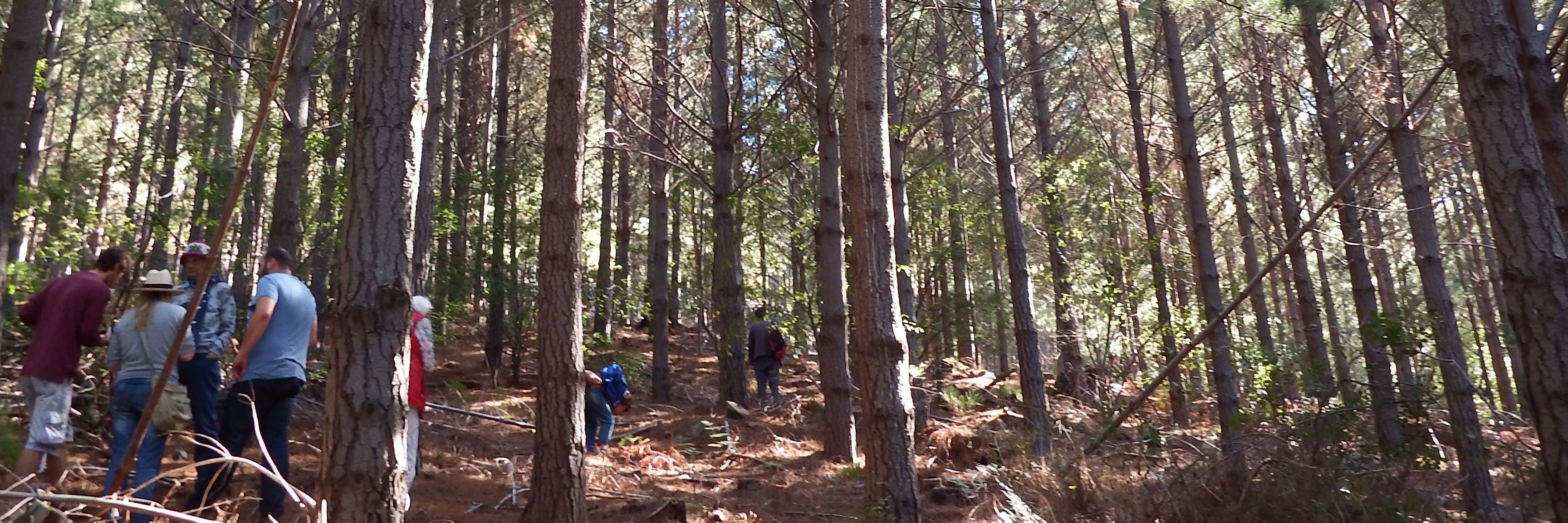 Mushroom Foraging Foray 30 April