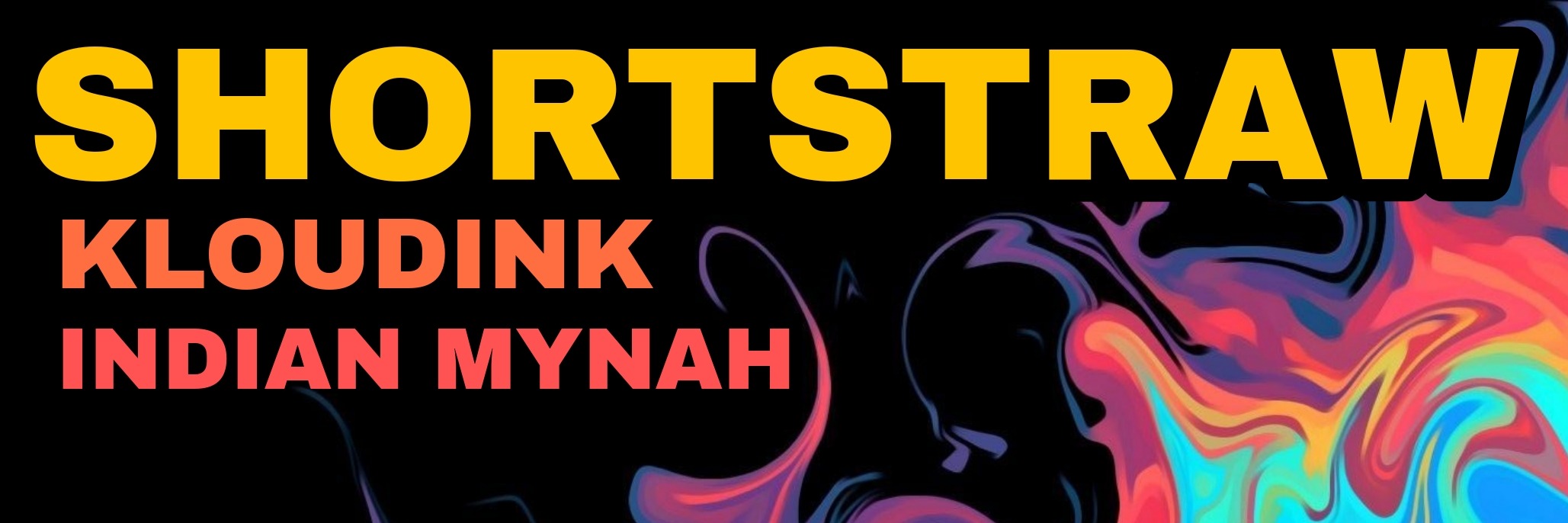 SHORTSTRAW & friends LIVE at Aandklas