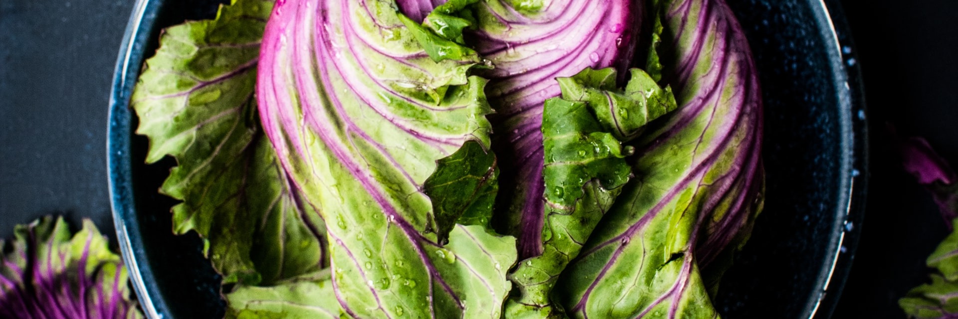 The Pillars of Nutrition