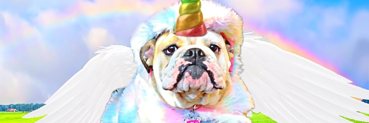 THUHC HIKE 56 - ARK WALK PARK - MEET & GREET - DOGGY DRESS UP