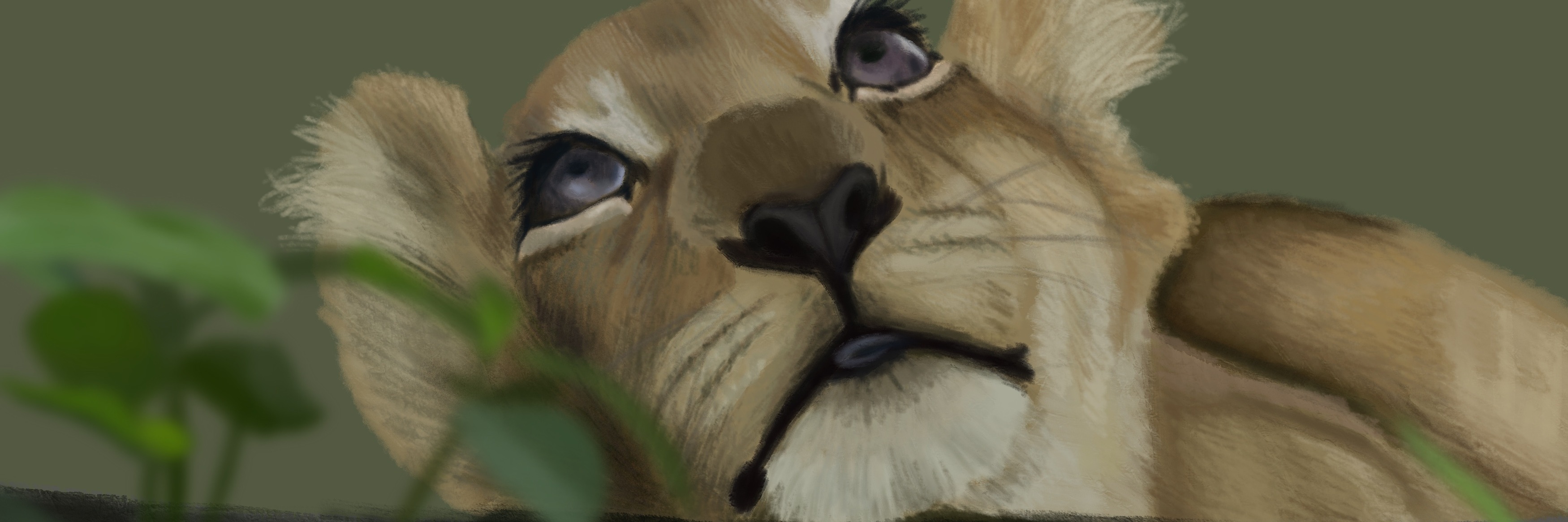 Catz R Us SA Art Show