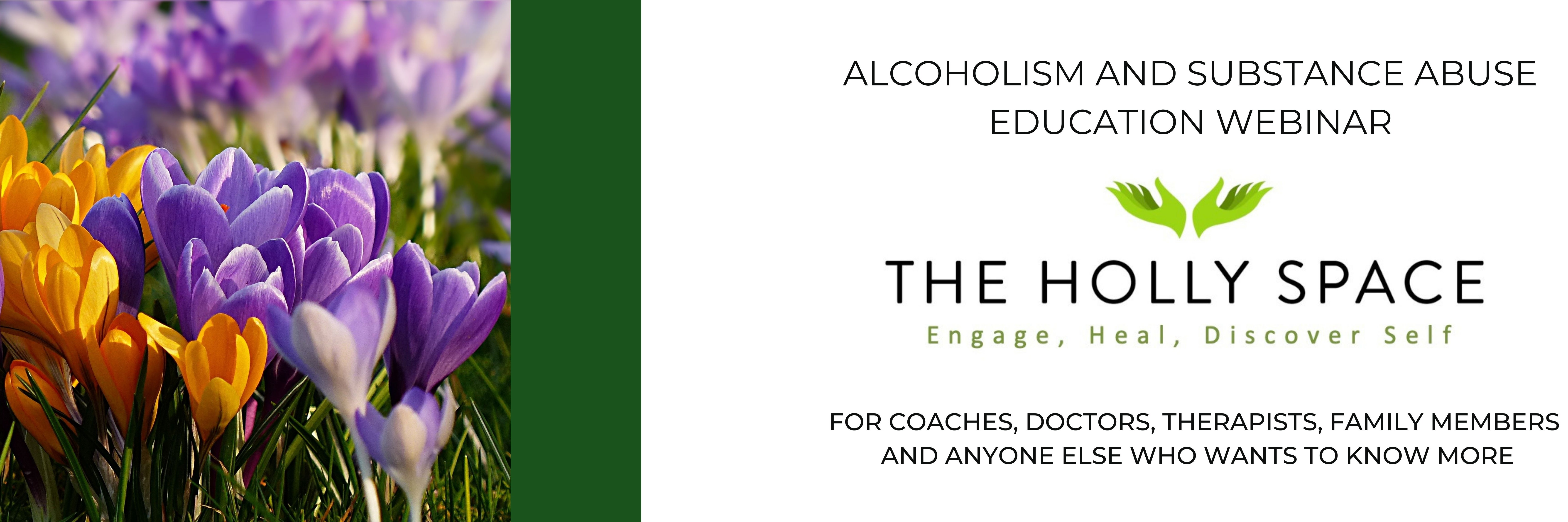 Alcoholism and substance abuse education webinar