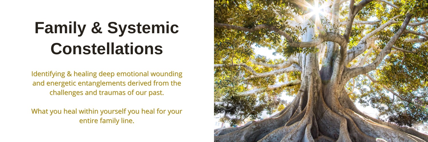 Family Constellation Workshop - Marina da Gama