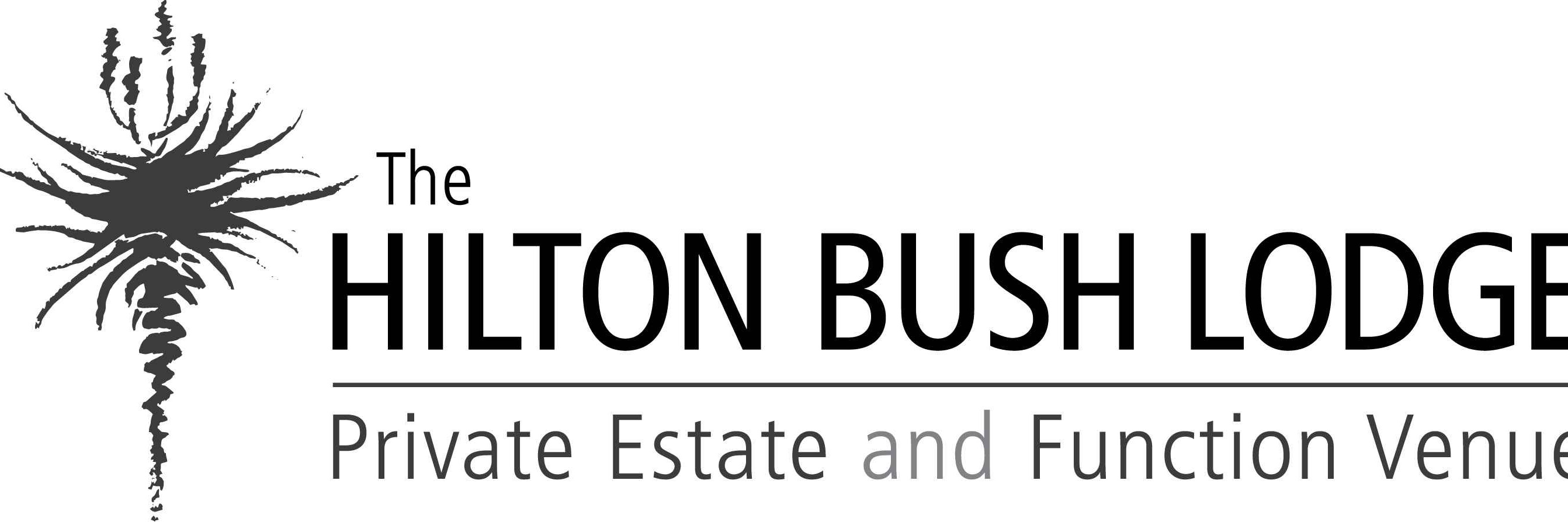 Telling storries... with Matthew Willman