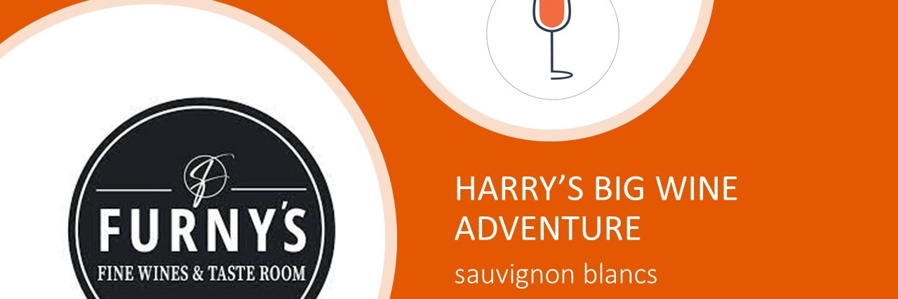 Furny's Fine Wines - Tasting Regional Sauvignon Blancs with Harry Melck