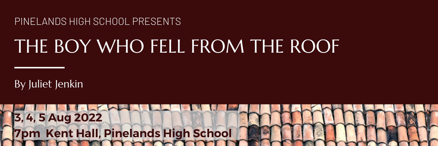 The Boy Who Fell From The Roof