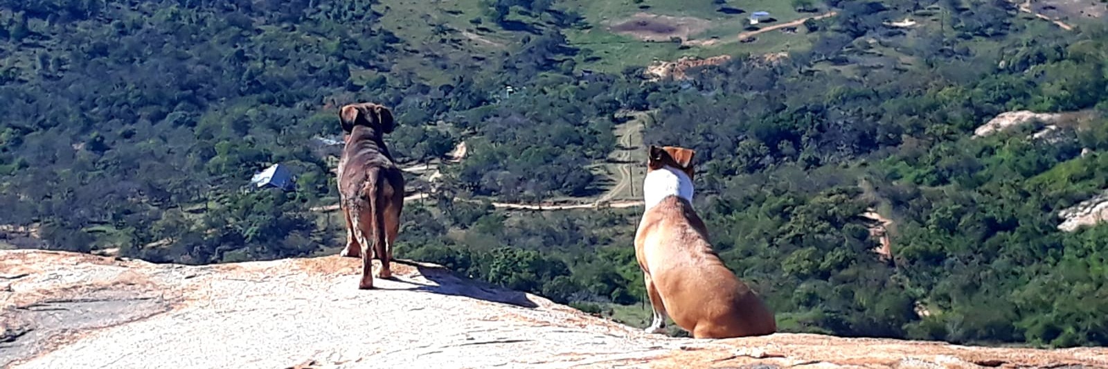 Book tickets for White Rock Summit Hike