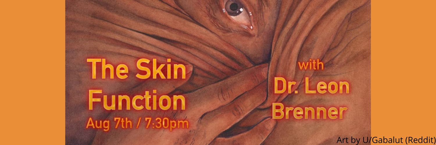 Dr Leon Brenner - The Skin function.