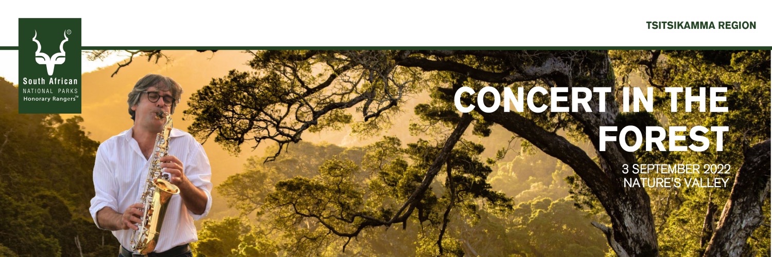 SAXOPHONE MAGIC IN THE FOREST!