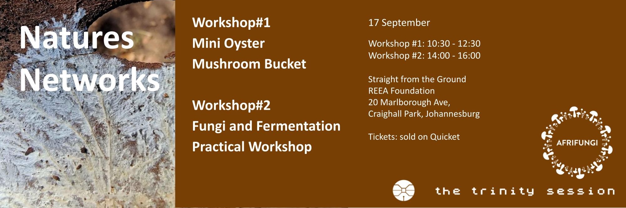 Mini Oyster Mushroom Bucket (17 Sept, 10:30 - 12:30) 