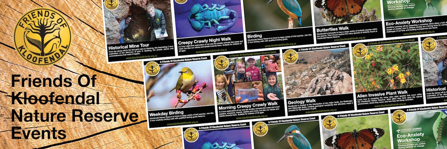 Scorpion Nature Explorer Book Launch