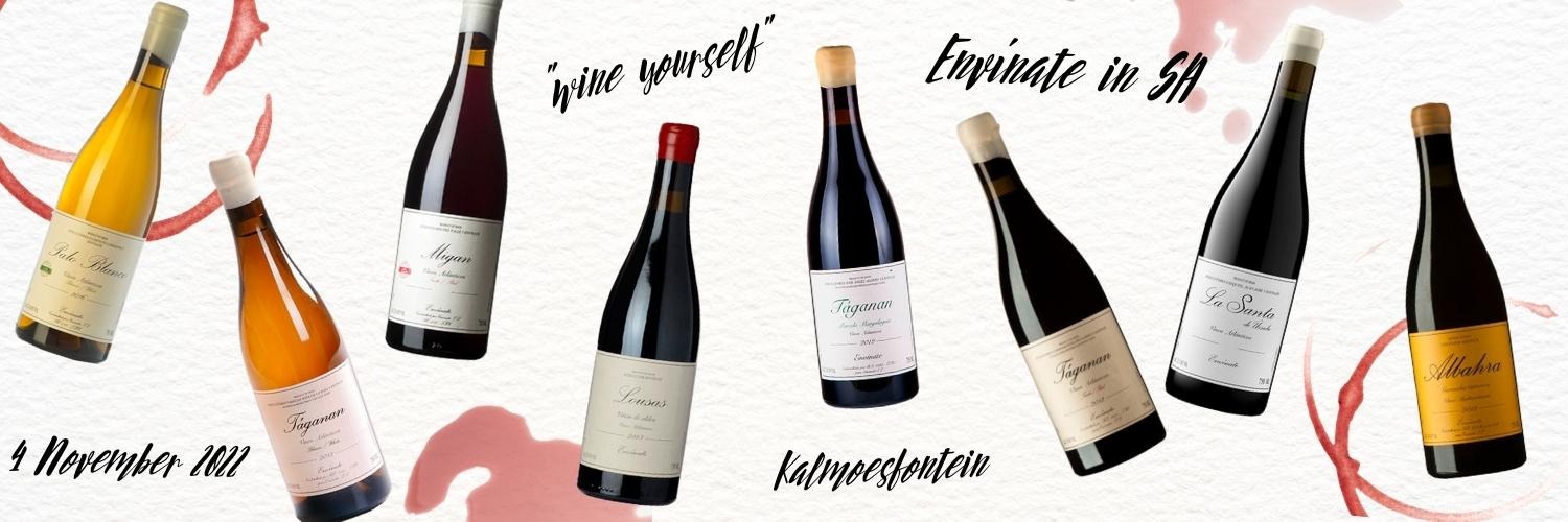 Envínate Wine Tasting in the Swartland