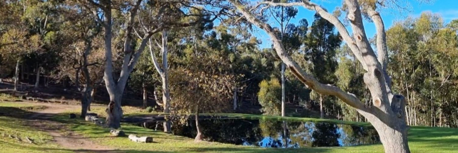 Chef Bridget's day under the Oaks