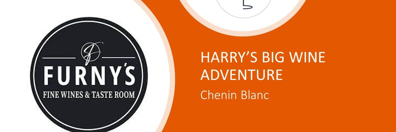 Furny's Fine Wines - Tasting Regional Chenin Blancs with Harry Melck