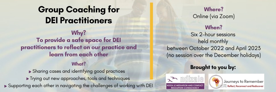 Group Coaching for DEI Practitioners (a series of six 2-hour sessions online)