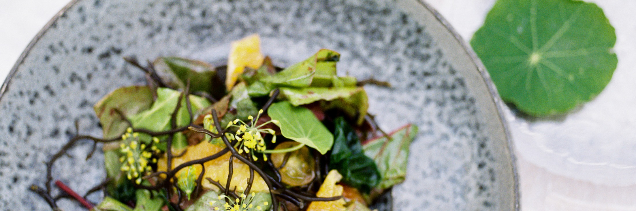 Veld and Sea X Chef Dylan Laity - Coastal Inspired Dining experience