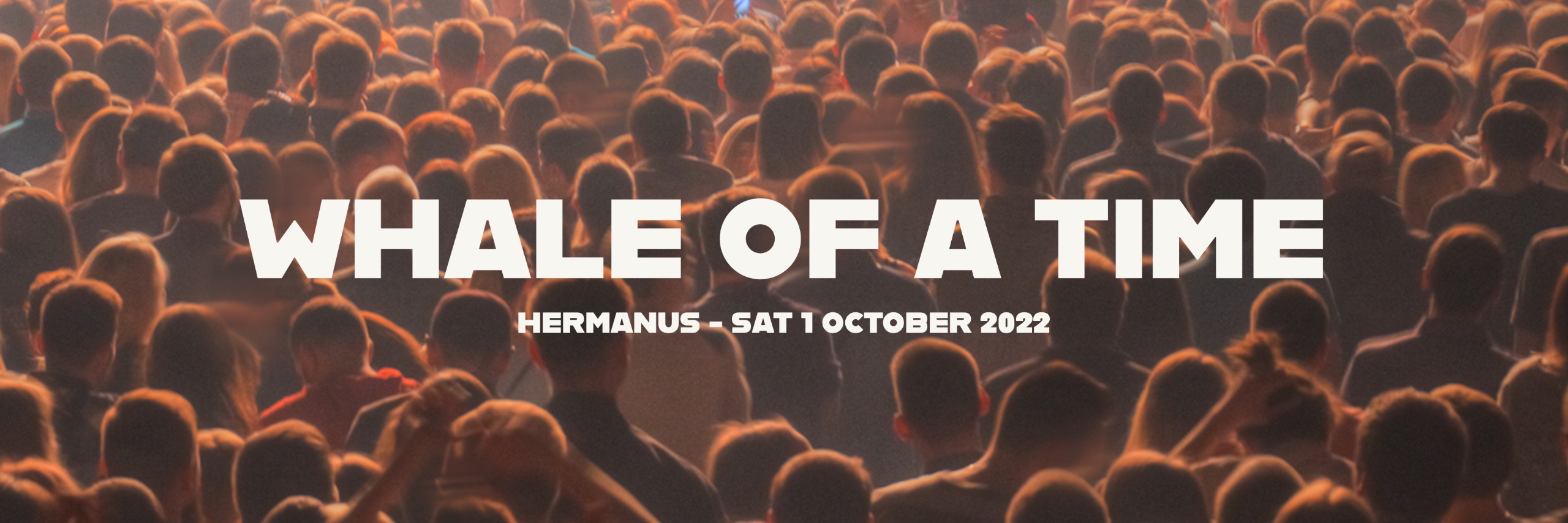 Whale Of A Time @ The Gecko Bar & Restaurant