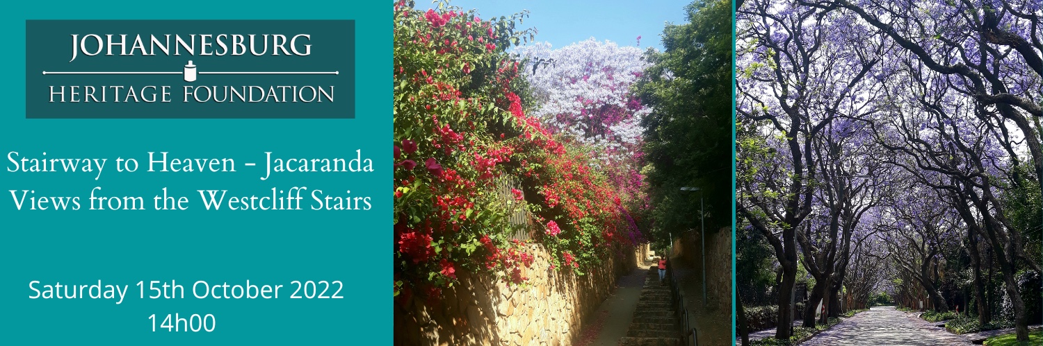 Stairway to Heaven - Jacaranda Views from the Westcliff Stairs