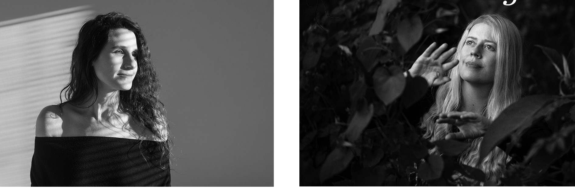 Laurie Levine and Frankie Beagle House Concert