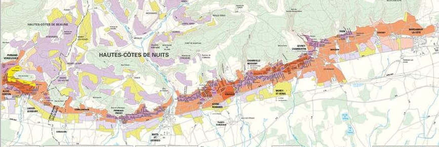 (Re) Introduction to Burgundy - with Maison Edouard Delaunay