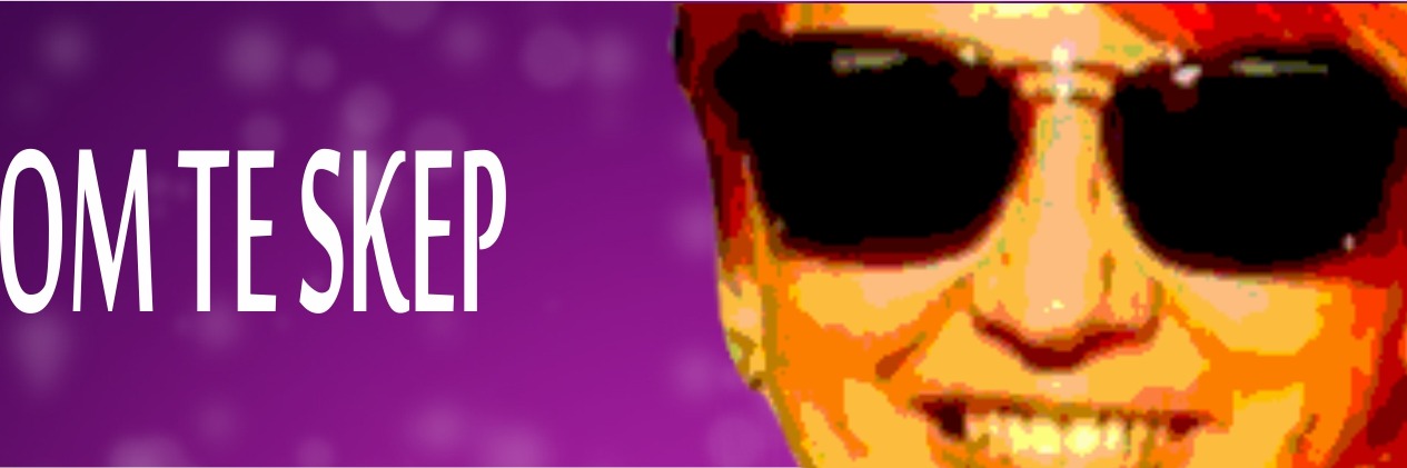 Om te Skep - Lizanne Barnard