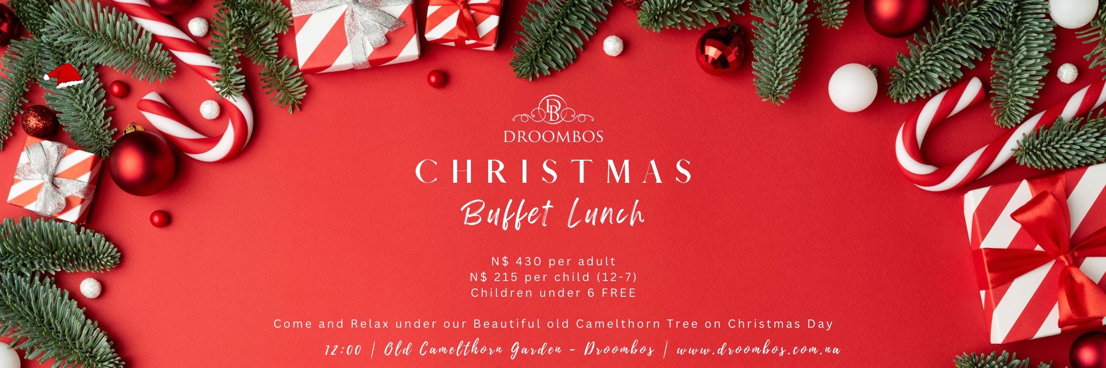 Droombos Christmas Buffet Lunch