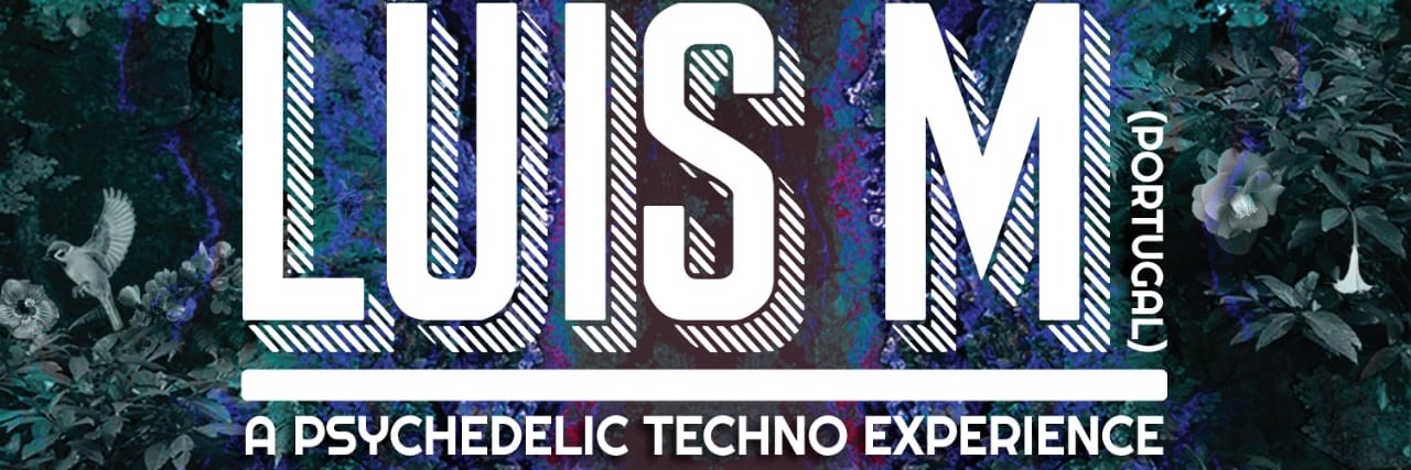 Zezura, The Oasis of Little Birds Feat: Luis M