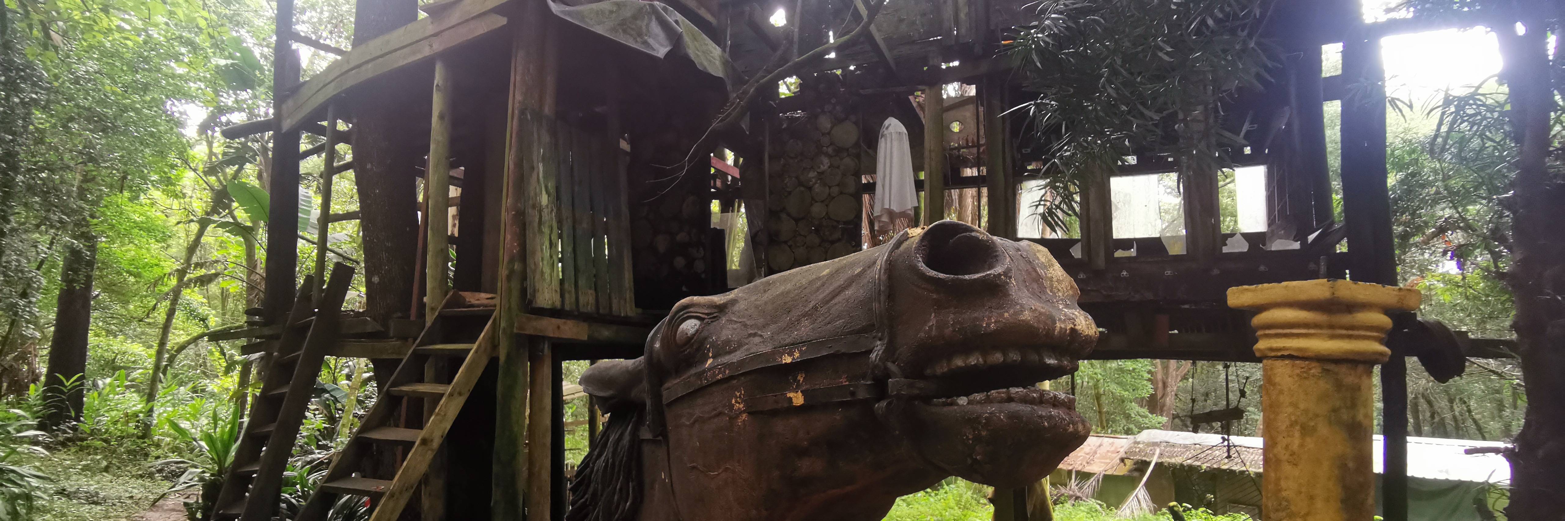 Morewood Farm Adventure Hike