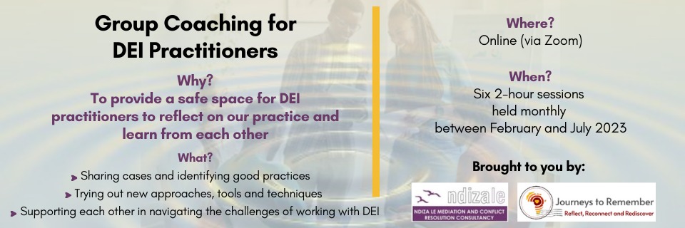 Group Coaching for DEI Practitioners (six 2-hour sessions online) - Starting February 2023