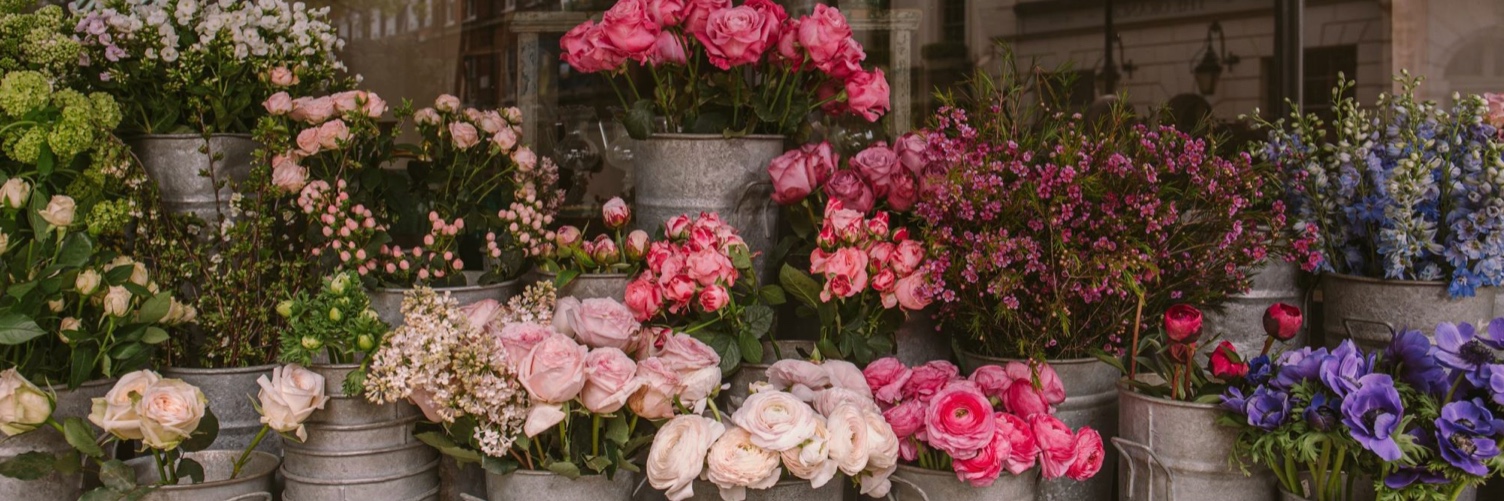 DUO MATERCLASS WITH PETALS AND ORIGINS SKINCARE 