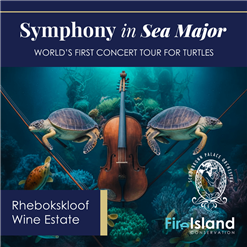 Concert Tour for Turtles @ Rhebokskloof Wine Estate