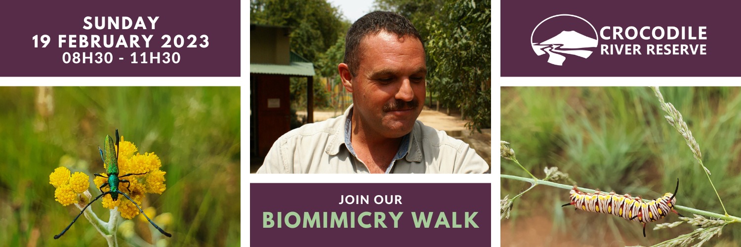 Biomimicry Walk in the Crocodile River Reserve