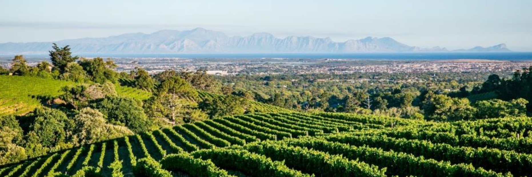 AN EVENING WITH RIO LARGO &  CONSTANTIA  GLEN 