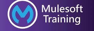 Mulesoft Training (30% Off) Mule 4 ESB Training Online