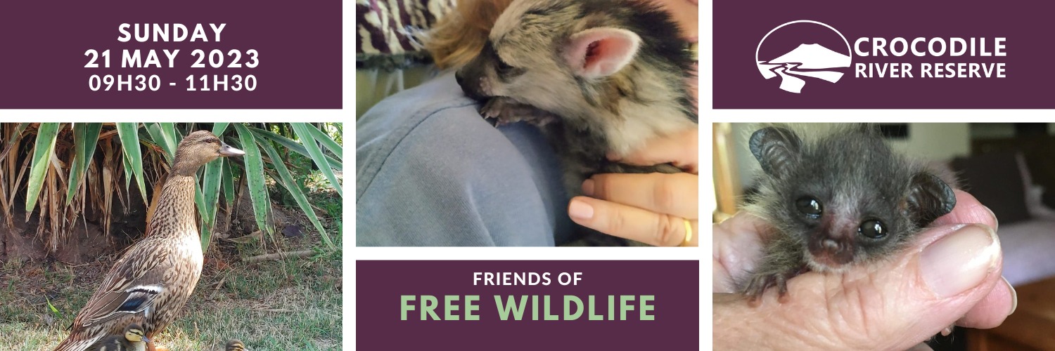 Friends of Free Wildlife Talk
