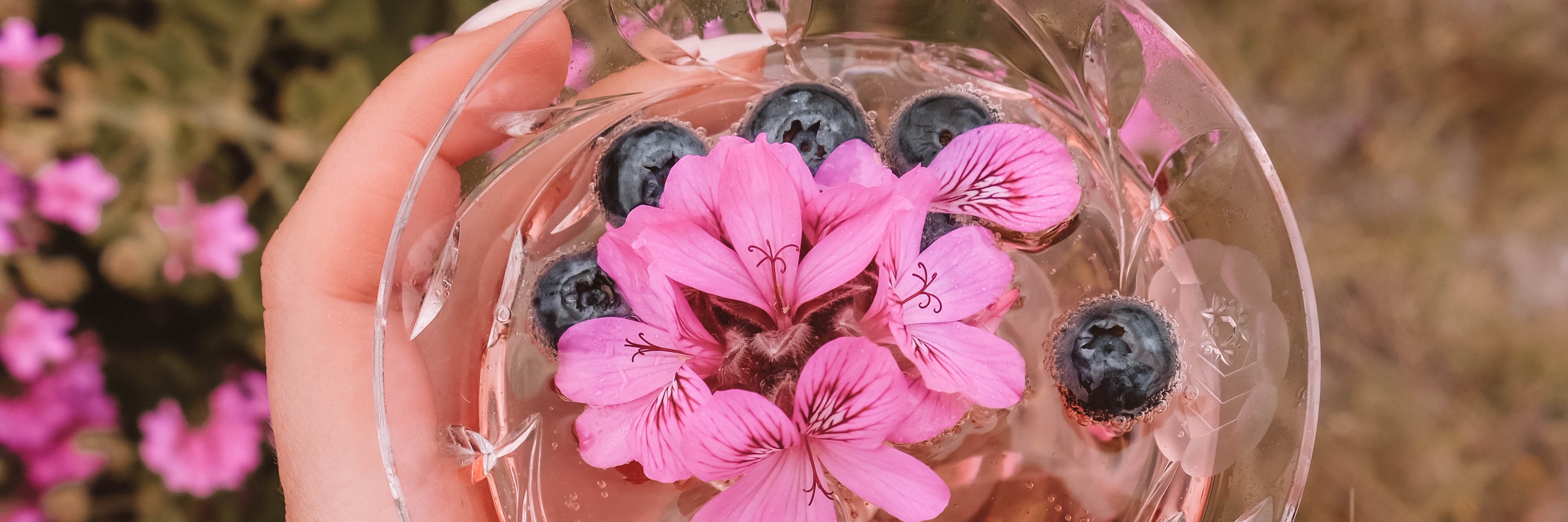 Edible Flower Springtime Experience with Veld and Sea - 1 October