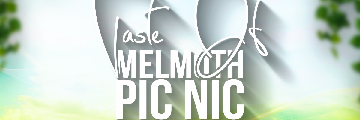 Taste Of Melmoth Pic Nic