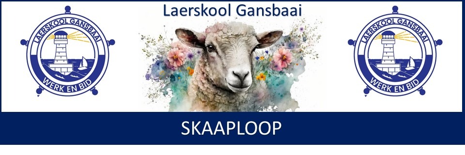 Laerskool Gansbaai Skaaploop 2023
