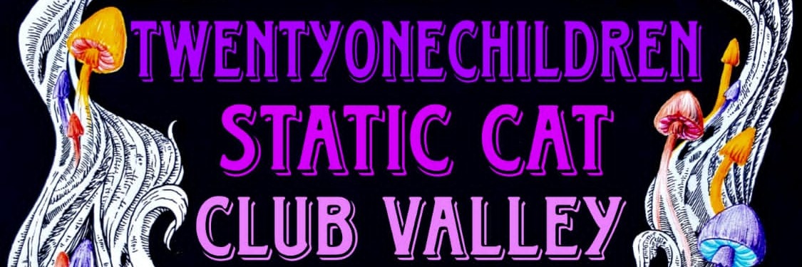 Static Cat, Club Valley and twentyonechildren live @Smoking Kills