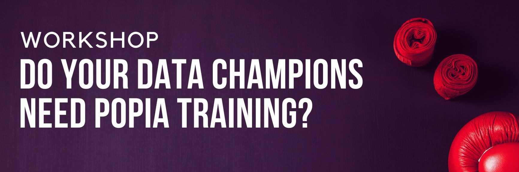 Data champion refresher training
