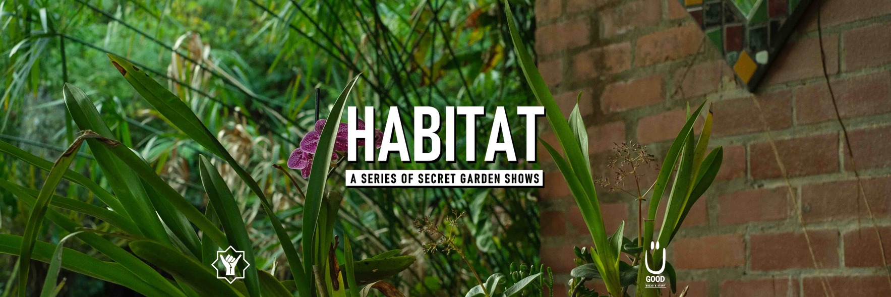 HABITAT Vol 5: Hillcrest Edition